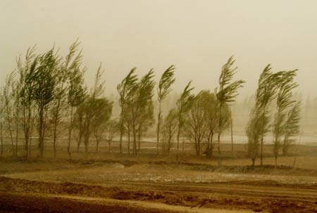 The photo taken on April 23, 2009 shows sandstorm hitting parts of Inner Mongolia Autonomous Region, north China. The heavy sandstorm caused inconvenience for local production and traffic on Thursday. (Xinhua Photo) 