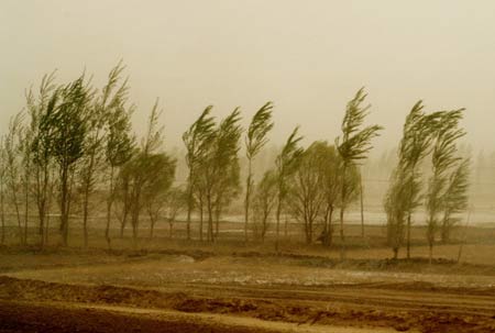 The photo taken on April 23, 2009 shows sandstorm hitting parts of Inner Mongolia Autonomous Region, north China. The heavy sandstorm caused inconvenience for local production and traffic on Thursday. [Xinhua]