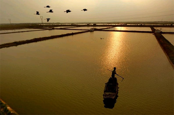 Originally named Fushi, Tongli is an age-old but very well preserved water township with a history of more than 1,000 years. Located on the eastern shore of Taihu Lake, just 18 kilometers (11 miles) from Suzhou City, Tongli town is 63 square kilometers (24 square miles) in area and has a population of over 33 thousand. True to its reputation, Tongli is a really wonderful travel destination where you can spend a marvelous holiday or experience traditional Chinese culture. [Photo: travel.sina.com.cn]