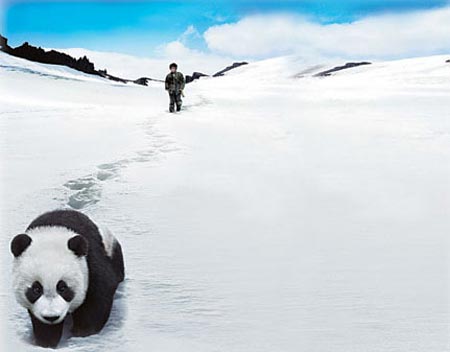 Disney's 'Trail of the Panda' will hit the screen on the Chinese mainland on May 8. 