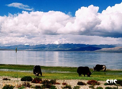 A file photo of the Qinghai-Tibet Plateau [China.org.cn]