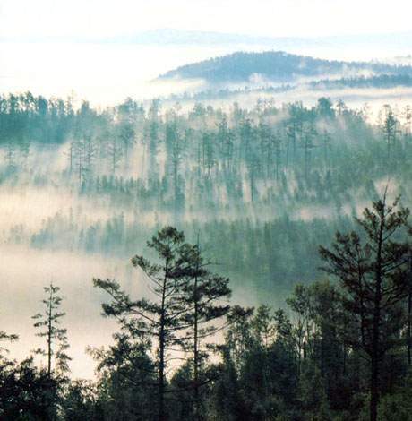 The Great Xing'an Mountains in Heilongjiang Province [China.org.cn]