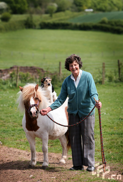 Freddie, who lives with owner Patricia Swinley, on Peglar's Farm from Flaxley, Gloucs, was riding on Daisy one day when Percy, who is owned by Patricia's friend Sally Jones, leapt up to join him.