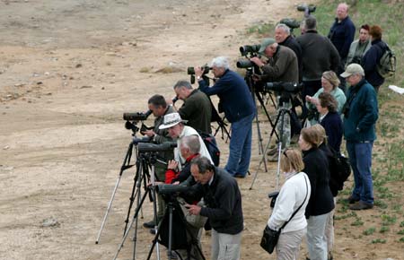 A group of British bird-observers focus their apparatuses to watch the birds over the littoral everglade, at Qinhuangdao, north China's Hebei Province, May 9, 2009.