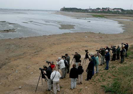 A group of British bird-observers focus their apparatuses to watch the birds over the littoral everglade, at Qinhuangdao, north China's Hebei Province, May 9, 2009.