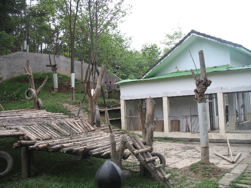 Photo taken on April 27, 2009 shows a general view of the Panda Kindergarten at Bifengxia Base in Ya'an City, Sichuan Province. [China.org.cn]