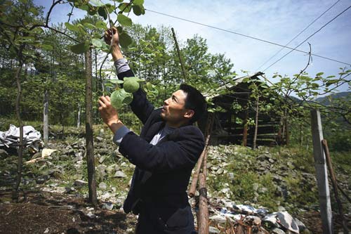 Jia Xuewen takes care of his kiwi vines.
