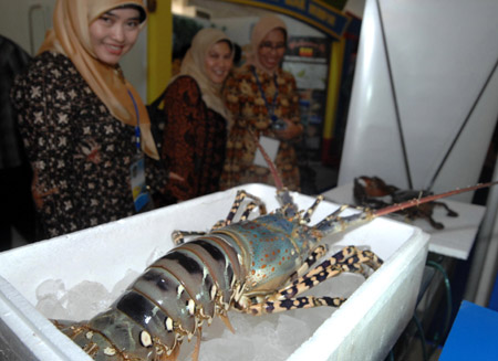 Visitors look at a lobster during the International Ocean Science, Technology and Industry Exhibition, part of the World Ocean Conference (WOC), in Manado of Indonesia, May 11, 2009. Nearly 70 countries and regions sent their items to the exhibition, opened here on Monday.[Xinhua]