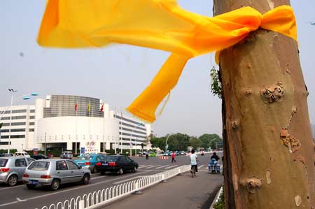 Photo taken on May 12, 2009 shows a yellow ribbon tied on a tree on a street in north China's Tianjin. Volunteers tied thousands of yellow ribbons on buses, buildings and trees as a way to commemorate the victims of the May 12, 2008 Wenchuan earthquake. [Xinhua]