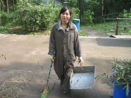 Photo taken on April 28, 2009 shows Deng Tao, a panda keeper, is busy cleaning pandas' enclosure at Bifengxia Base in Ya'an City, Sichuan Province. [China.org.cn]