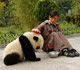 Panda keepers and their 'babies'