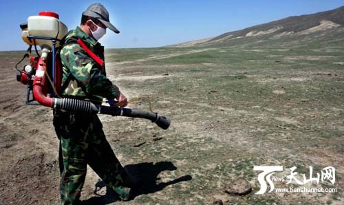 Photo taken on May 9, 2009 shows a staff member sprays pesticide on the grassland in northwest China's Xinjiang Uygur Autonomous Region. An 8,000 hectare pasture there affected by an unusual worm infestation earlier this month has declared pest-free Wednesday.