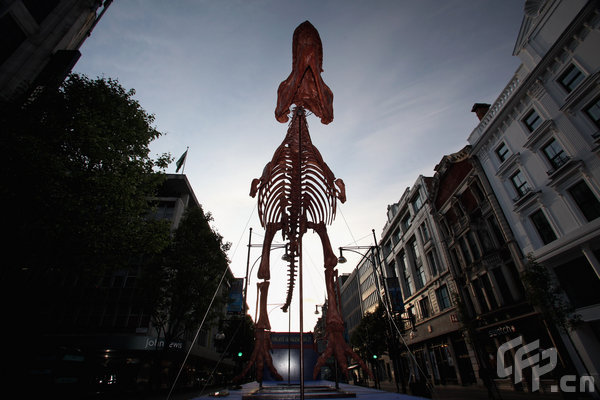 A giant model Tyrannosaurus Rex, as featured in 'Night of the Museum 2' tours Oxford Street in advance of his appearance during the up-coming May Bank Holiday Weekend Celebration on May 21, 2009 in London, England. [CFP]