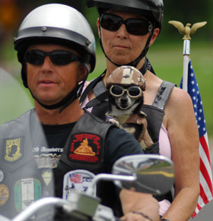 A motorcycle rider parades through Washington, capital of the United States, on May 24 in the annual Rolling Thunder Motorcycle Rally, which is aimed at seeking the government to improve veteran benefits and resolve POW/MIA issues.