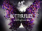 Chinese musical 'Butterflies' staged at Beijing