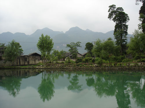 On the banks of the river