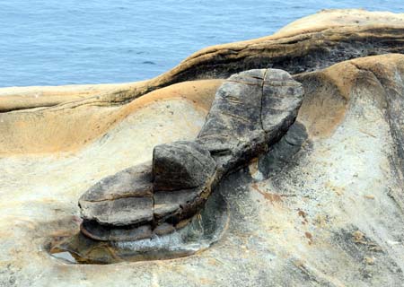 Photo taken on June 3, 2009 shows a shoe-shaped stone at the Yehliu Geopark in Taipei County of southeast China's Taiwan Province. The Yehliu Geopark is one of the most well-known geoparks in northern Taiwan, featuring its scenery of efflorescence.