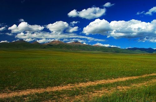 File photo: Bayinbuluke Grassland, covering an area of 23,000 square kilometers, is located 2,500 meters above sea level, at the intersection of the southern and northern Tianshan Mountains. 