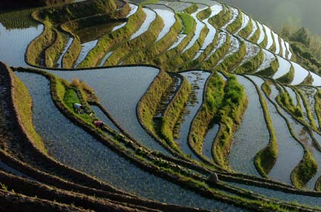 Farmers work in terraced fields in Longsheng County of southwest China's Guangxi Zhuang Autonomous Region, June 4, 2009. While entering the ploughing season, more and more tourists come to visit the terrace with an over 700 years' history. The number of tourists exceeded 50,000 from January to May in 2009. [Photo: Xinhua] 