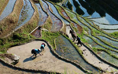 Farmers work in terraced fields in Longsheng County of southwest China's Guangxi Zhuang Autonomous Region, June 4, 2009. While entering the ploughing season, more and more tourists come to visit the terrace with an over 700 years' history. The number of tourists exceeded 50,000 from January to May in 2009.