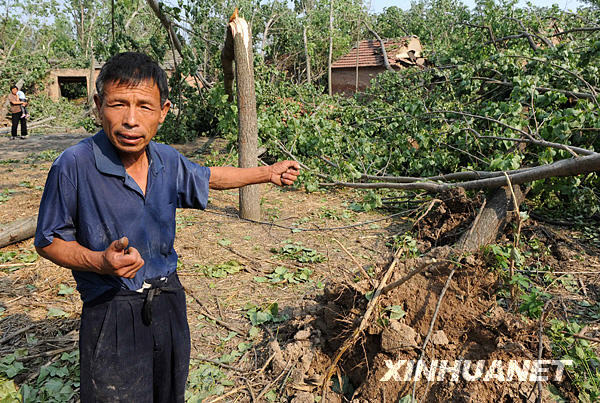 In this photo taken on June 4, 2009, a peasant points to an uprooted tree after a strong storm Wednesday night in Shangqiu city of central China's Henan Province. [Xinhua] 