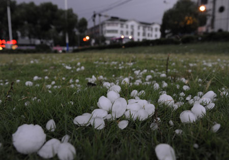 Hails are seen on the grassland in Yuxin Township of Nanhu District in Jiaxing, east China's Zhejiang Province, June 5, 2009. A strong convective weather hit Jiaxing on Friday afternoon.