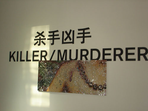 A murder sees his or her image reflected in the victim's necklace. 