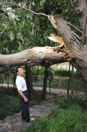 A local resident looks at tree branches broken by wind and rainfall at a park in Hefei, capital city of east China's Anhui province, June 8, 2009. Summer rainfall of medium or large scale swept across north, east, central and south China in the past days. One person was killed in north China's Shanxi province, bringing the death toll of rains and storms since last Wednesday to 50, according to officials on Monday. [Yang Xiaoyuan/Xinhua]