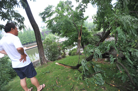 A local resident looks at tree branches broken by wind and rainfall at a park in Hefei, capital city of east China's Anhui province, June 8, 2009. [Yang Xiaoyuan/Xinhua]