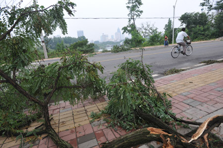A local resident cycles past tree branches broken by wind and rainfall at a park in Hefei, capital city of east China's Anhui province, June 8, 2009. [Yang Xiaoyuan/Xinhua]