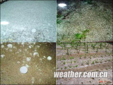 In the Lingqiu county of Datong city, thunderstorm and hail damaged 32,588 houses and about 8,436.3 hectares of crops. Photo taken on June 6, 2009. 