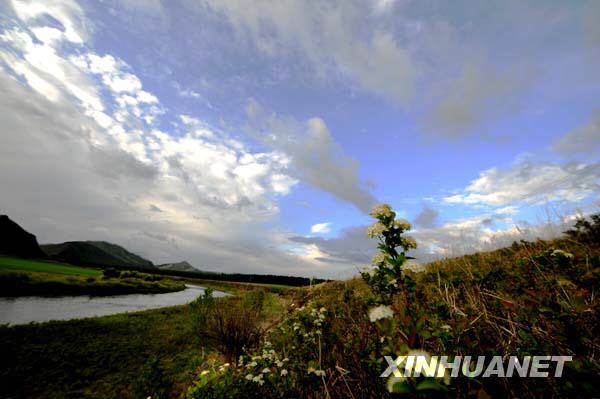 The winding Halaha river flows through the grassland of Aershan Mountain. Photo taken on June 8. [Photo: Xinhuanet] 