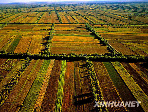The photos published by Xinhuanet.com on Tuesday, June 9, 2009 show farmlands of northwestern China&apos;s Xinjiang Uygur Autonomous Region. The region boasts varied landscapes which produce an abundance of farm products and offer grand views for tourists. [Photo:Xinhuanet] 