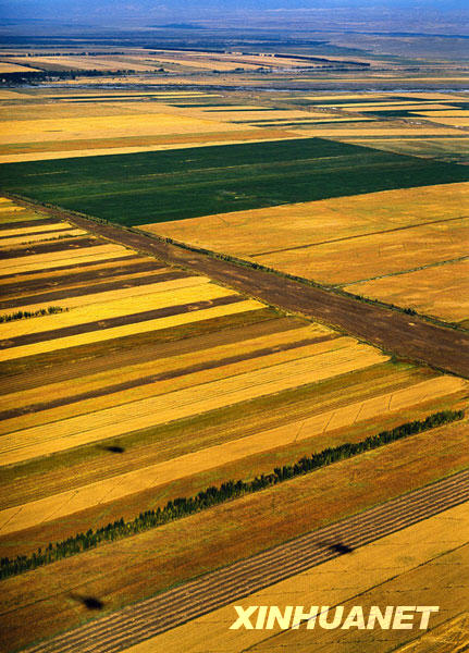 The photos published by Xinhuanet.com on Tuesday, June 9, 2009 show farmlands of northwestern China's Xinjiang Uygur Autonomous Region. The region boasts varied landscapes which produce an abundance of farm products and offer grand views for tourists. [Photo:Xinhuanet] 
