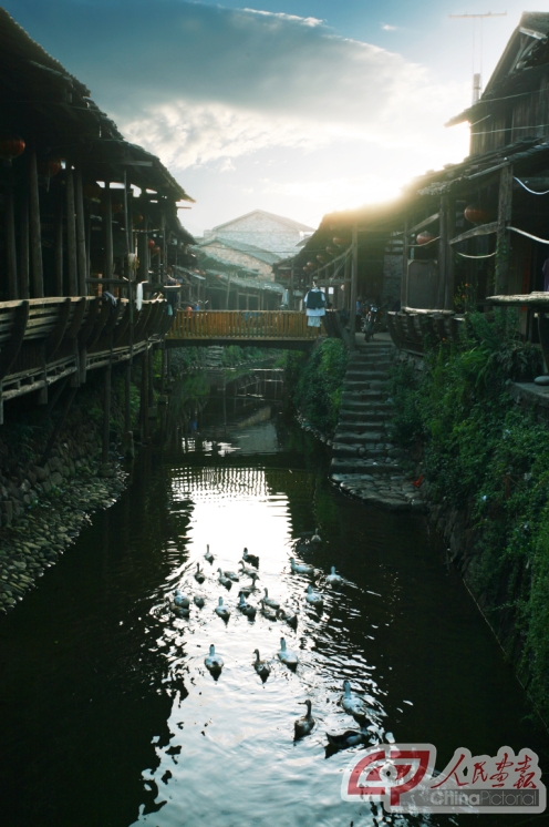 A flock of ducks enjoys the cooling air beneath a setting sun