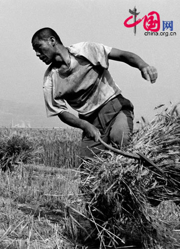 Harvester working in the field, Bin county, Shanxi, 1997