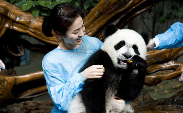 South Korean actress Song Hye-Kyo plays with giant pandas during her visit to a panda breeding center in Chengdu, southwestern China's Sichuan Province. She has been named 'Asia's panda ambassador'. She says she is looking forward to adopting a panda in the near future.