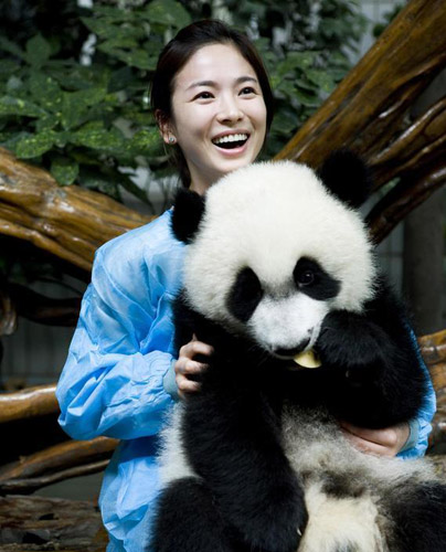 South Korean actress Song Hye-Kyo plays with giant pandas during her visit to a panda breeding center in Chengdu, southwestern China's Sichuan Province. She has been named 'Asia's panda ambassador'. She says she is looking forward to adopting a panda in the near future.