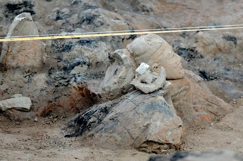 Photo taken on June 13, 2009 shows the excavation site of No. 1 pit of the Terra-cotta Warriors and Horses of Emperor Qin Shihuang, in Xi'an, capital of northwest China's Shaanxi Province. (Xinhua/Jiao Weiping) 