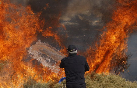 A man pours water to battle the flames in a bushfire at Glyfada suburb, south of Athens, Monday June 15, 2009. [chinanews.com] 