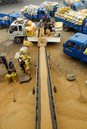 Local farmers sell grain in Banpu Town of Lianyungang City, east China's Jiangsu Province, June 16, 2009. The official purchase of summer grain in Lianyungang City has been started recently.