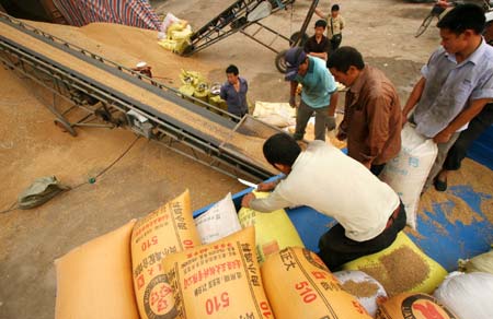  Local farmers sell grain in Banpu Town of Lianyungang City, east China's Jiangsu Province, June 16, 2009. The official purchase of summer grain in Lianyungang City has been started recently.