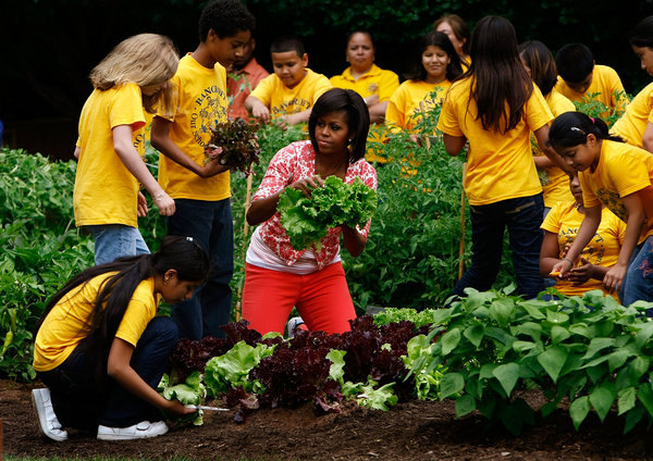 U.S. first lady Michelle Obama harvests vegetables from the White House Kitchen Garden with students from Bancroft Elementary School on the South Lawn of the White House June 16, 2009 in Washington, DC. The first lady later sat down to a meal with the children with the lettuce and snap peas harvested from the garden to focus attention on health and nutrition. [CFP]