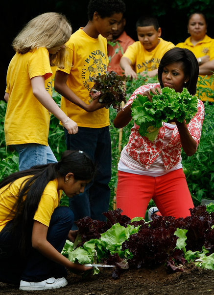 U.S. first lady Michelle Obama harvests vegetables from the White House Kitchen Garden with students from Bancroft Elementary School on the South Lawn of the White House June 16, 2009 in Washington, DC. The first lady later sat down to a meal with the children with the lettuce and snap peas harvested from the garden to focus attention on health and nutrition. [CFP]