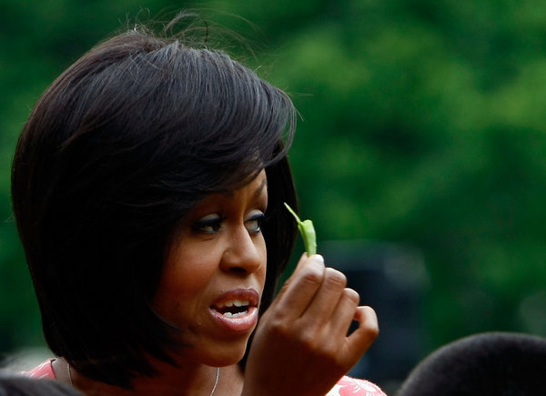 U.S. first lady Michelle Obama tastes a snap pea while she harvests vegetables from the White House Kitchen Garden with students from Bancroft Elementary School on the South Lawn of the White House June 16, 2009 in Washington, DC. The first lady later sat down to a meal with the children including the lettuce and snap peas harvested from the garden to focus attention on health and nutrition. [CFP]