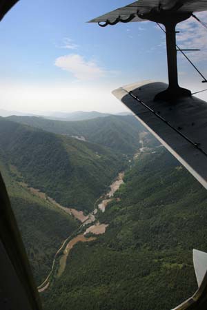 A plane operates the airborne planting of tree in Ruyang County, central China's Henan Province, June 16, 2009. The related department has afforested over 890,000 mu of land through airborne planting since 1979, and plans to afforest another over 40,000 mu of land this year. [Zeng Xianping/Xinhua]