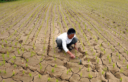 A farmer works in the field in Ulsan, southeastern South Korea, June 17, 2009. A drought hit Ulsan recently and affected its agriculture. [Xinhua]