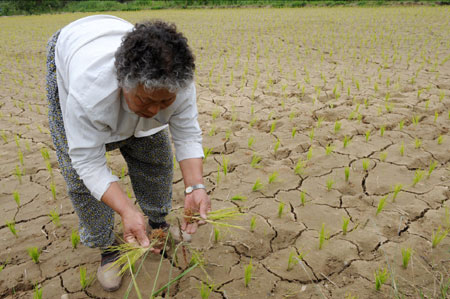 A farmer works in the field in Ulsan, southeastern South Korea, June 17, 2009. A drought hit Ulsan recently and affected its agriculture. [Xinhua]