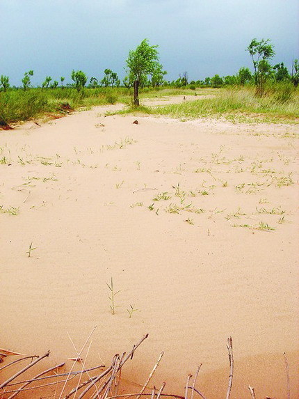 A river course which used to supply water for Hongjian Nur has become a sand land. Hongjian Nur is the largest natural desert freshwater lake in Shaanxi Province and the second largest in China. [Photo from the Shaanxi Daily]