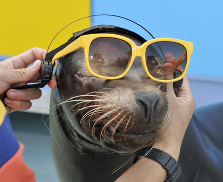 Photo taken on June 18, 2009, shows an animal trainer in the Sunshine International Aquarium in Tokyo, Japan, wears sunglasses for the sea lion Luke to prepare for observing the solar eclipse next month. [Xinhua/AFP]